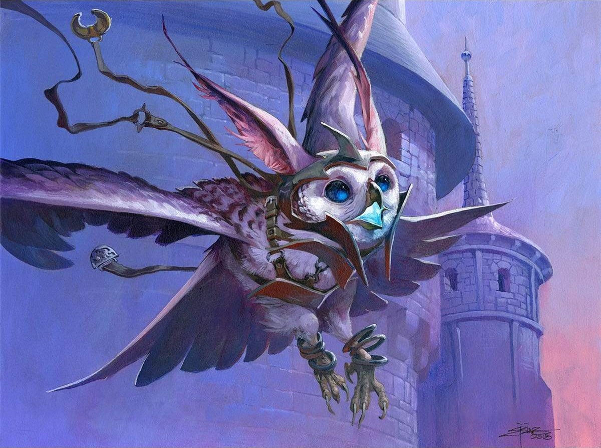 Joe's Profile Picture